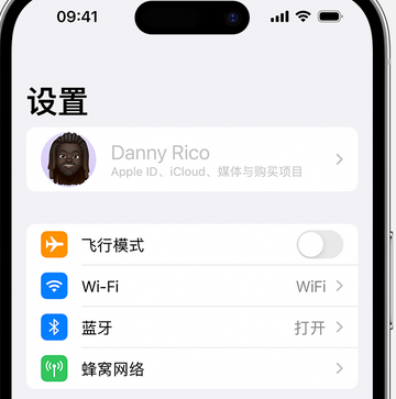 南沙appleID维修服务iPhone设置中Apple ID显示为灰色无法使用 