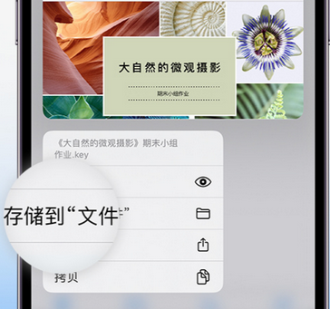 南沙apple维修中心分享iPhone文件应用中存储和找到下载文件