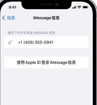 南沙apple维修iPhone上无法正常发送iMessage信息 