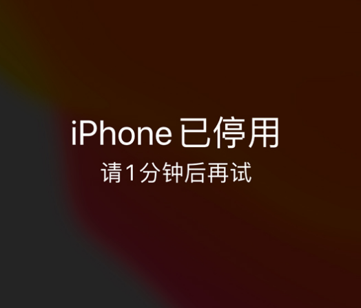 南沙苹果手机维修分享:iPhone 显示“不可用”或“已停用”怎么办？还能保留数据吗？ 