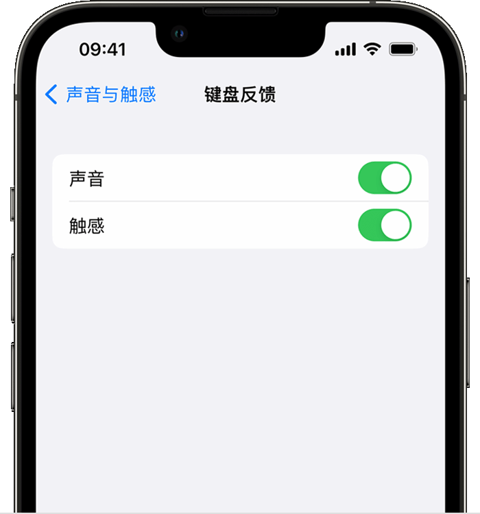 南沙苹果14维修分享iPhone 14 系列机型如何开启键盘声音或触感反馈 