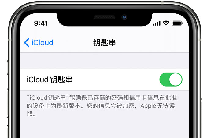 南沙苹果手机维修分享在 iPhone 上开启 iCloud 钥匙串之后会储存哪些信息 