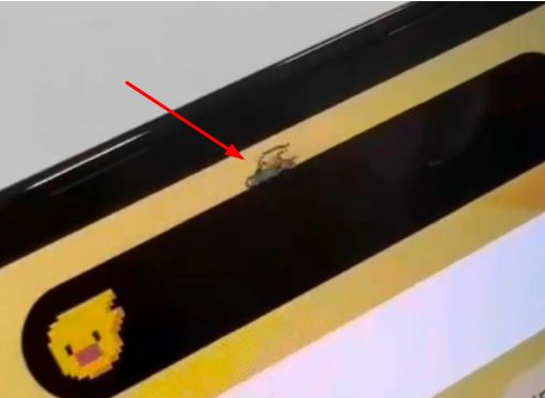 南沙苹果14维修分享iPhone 14 Pro Max灵动岛怎么养宠物 