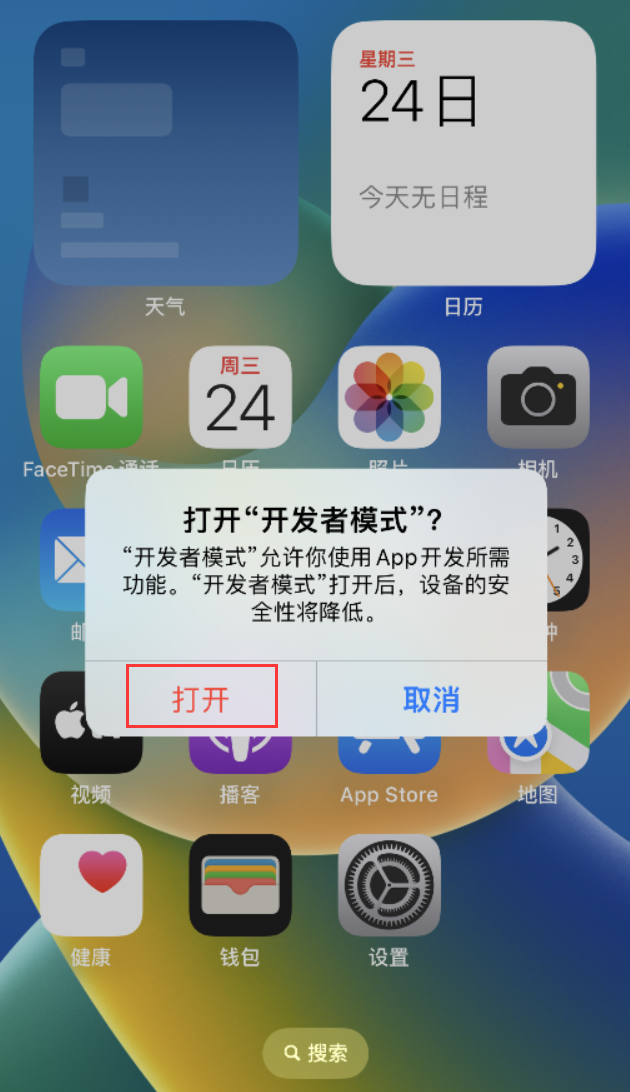 南沙苹果手机维修分享如何打开开发者模式 