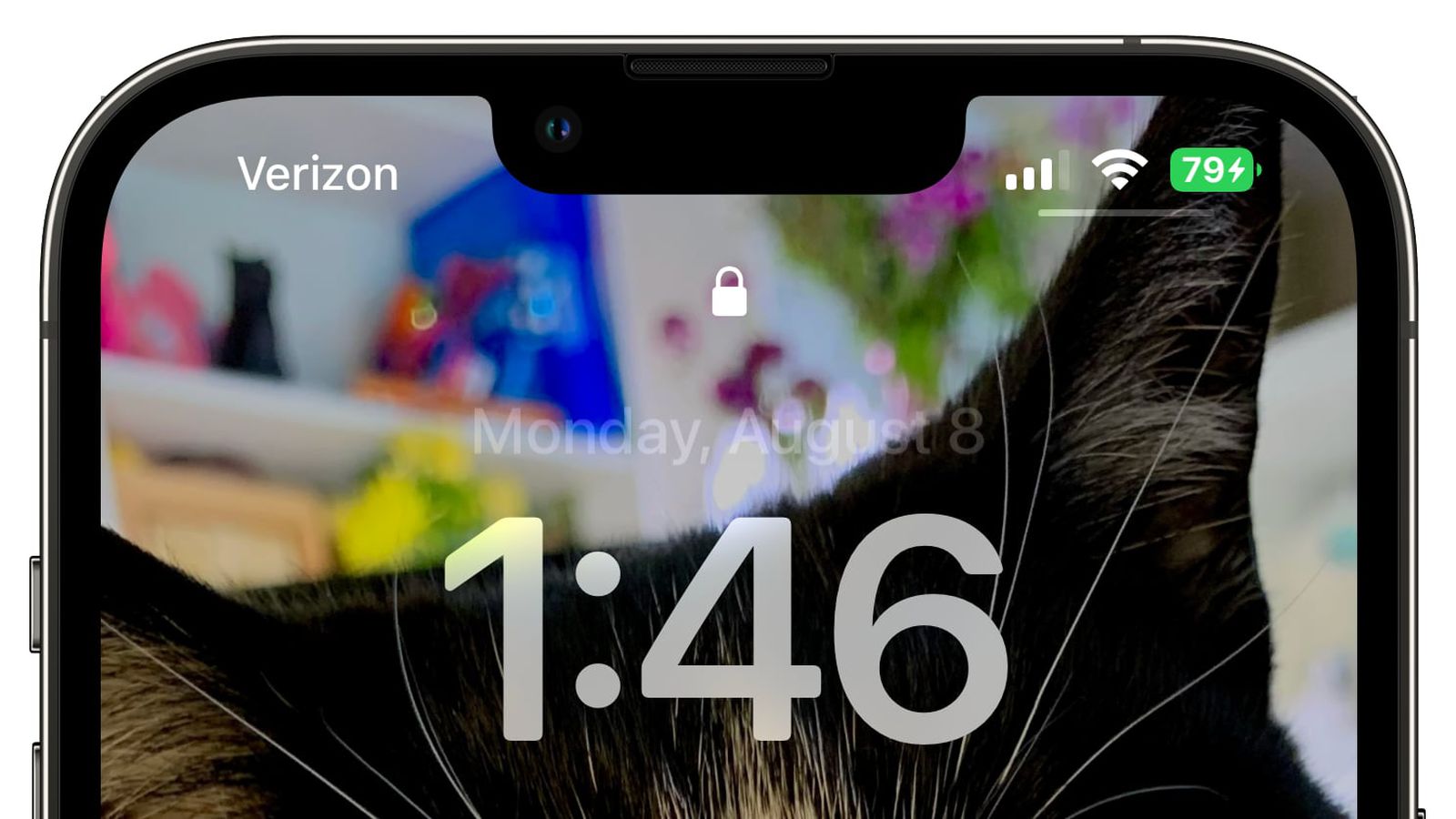 南沙苹果手机维修分享iOS 16 beta 5 支持状态栏显示电池百分比，如何开启？支持哪些机型 