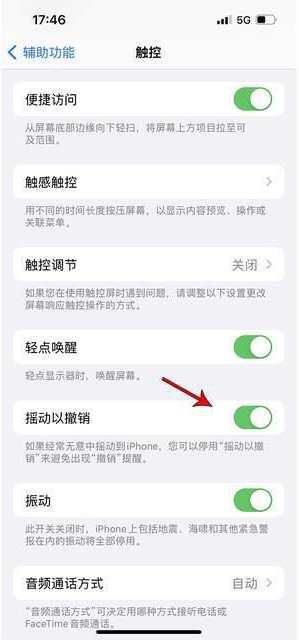 南沙苹果手机维修分享iPhone手机如何设置摇一摇删除文字 