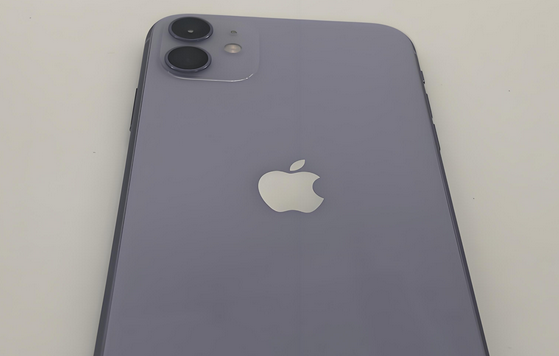 南沙苹果11系统维修分享iPhone11手机系统崩溃无法开机如何解决